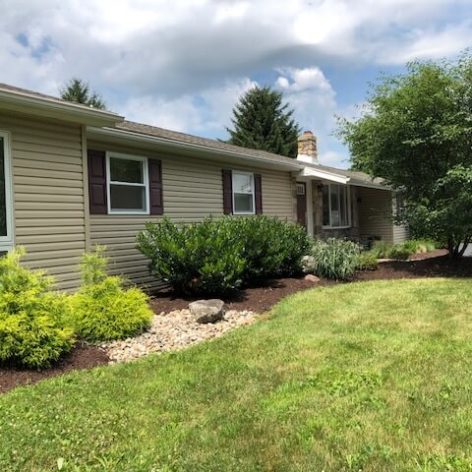 garden area outside maple tree dental