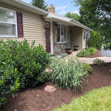 outside view of maple tree dental