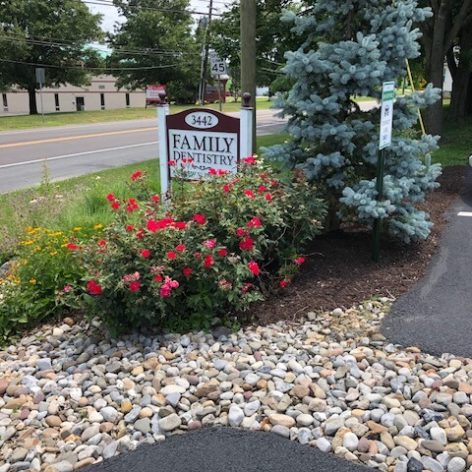 sign board outside maple tree dental